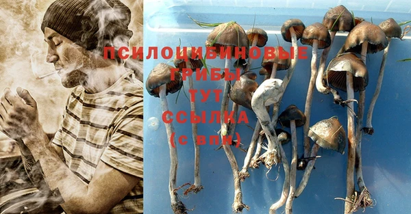 mdpv Алзамай