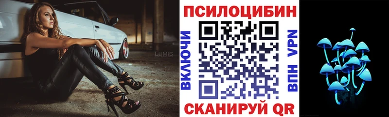 Галлюциногенные грибы Psilocybe  закладки  Обнинск 